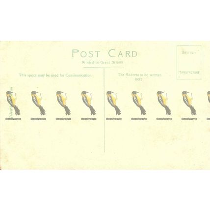 Princes Street, Looking West, Edinburgh, Valentines Early Postcard