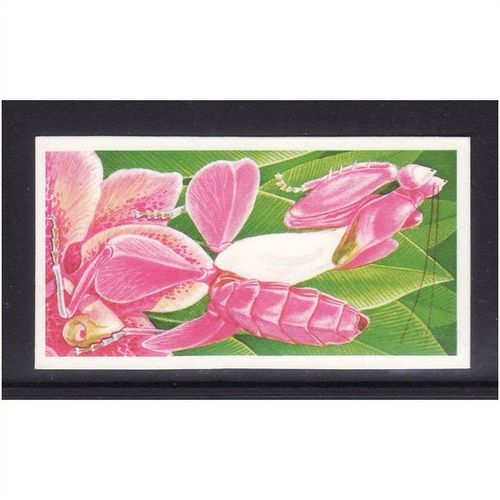 Brook Bond INCREDIBLE CREATURES ON THE LAND PRAYING MANTIS No 28 Mint