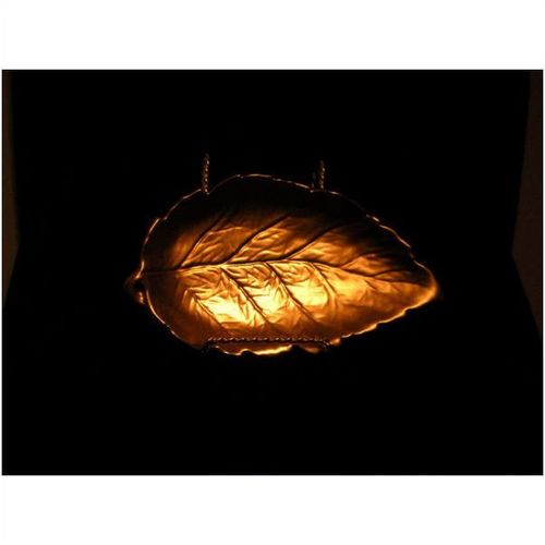 Royal Winton Gold Leaf - Circa 1950's