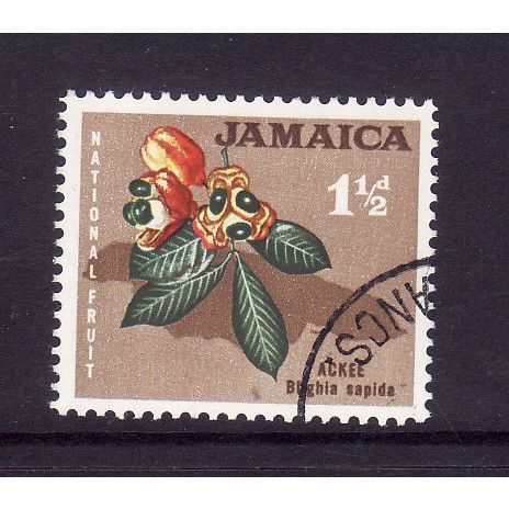 JAMAICA 1964 SG SG 219 1 1/2d ACKEE FINE USED
