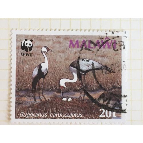 Malawi 1987 WWF Endangered Species Cranes Nest 20t Used SG 761 Sc496 stamp panda