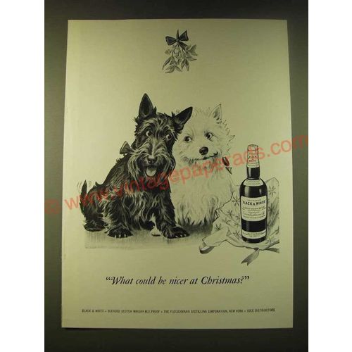 1951 Black & White Scotch Ad - What could be nicer at Christmas