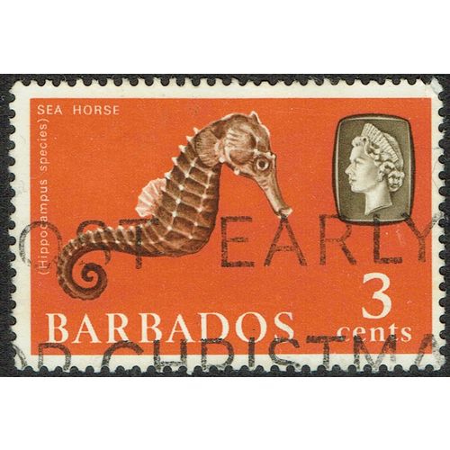 Barbados 1966 Marine Life 3c Olive Brown and Orange wmk Sideways SG344 GU