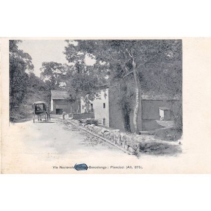 Boscolungo Italy Antique Postcard