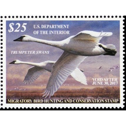 RW83, VF Mint NH 2016 Trumpeter Swans Federal Duck Stamp - Stuart Katz