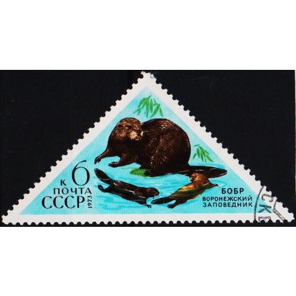 Russia. 1973 6k S.G.4185 Used