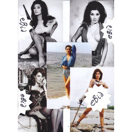 5 Photo Set - Beautiful EDWIGE FENECH Film & TV Actress, Giallo Queen