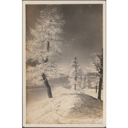 Eine Verschneite Landschaft bei Wallisellen, 1925 - Ruegg Foto-AK