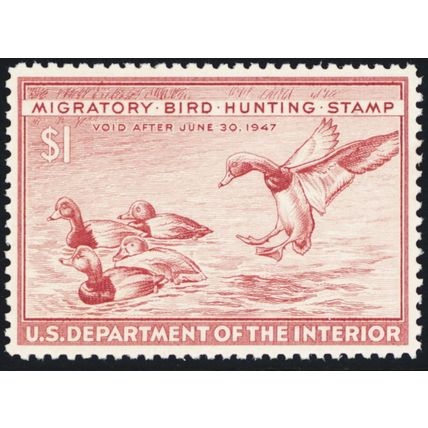 RW13, Mint XF NH $1 Duck Stamp - PSE Graded 90 * Stuart Katz