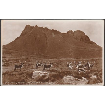 Stack Polly, Coigach & the Monarchs of the Glen, c.1930s - JB White RP Postcard