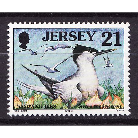 1997-99 Jersey, Sea Birds, Sandwich Tern, NH Mint Stamp, SG No. 781