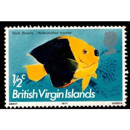 British Virgin Islands 1975 Fish 1/2c Used Stamp