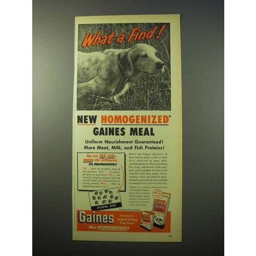 1951 Gaines Meal Dog Food Ad - What a Find