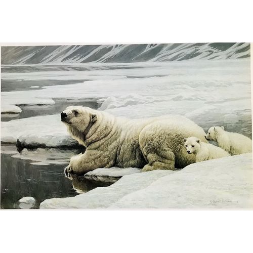 Robert Bateman print POLAR BEAR cubs arctic family Vintage Poster Wall Art Decor