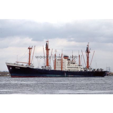 SQ0598 - Dutch Cargo Ship - Lelykerk , built 1958 - photograph 6x4