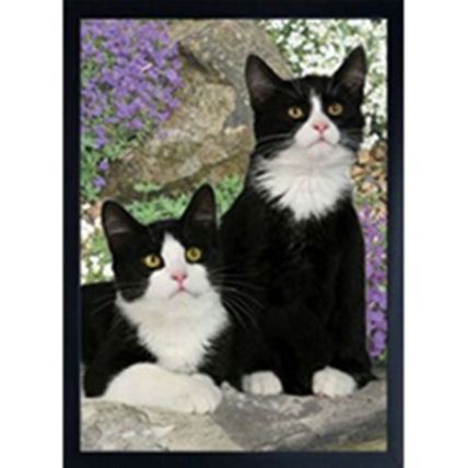 CAT FRIDGE MAGNETS BLACK, BLACK & WHITE, GINGER OR TABBY CAT 3D & hand finished