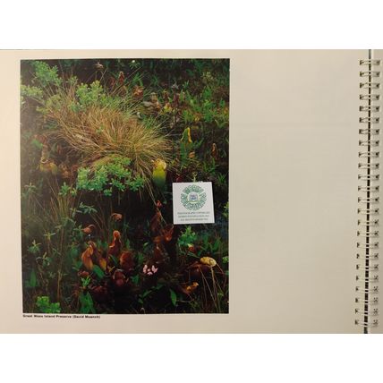 MAINE FOREVER A GUIDE TO NATURE CONSERVANCY PRESERVES IN MAINE ILLUSTRATED