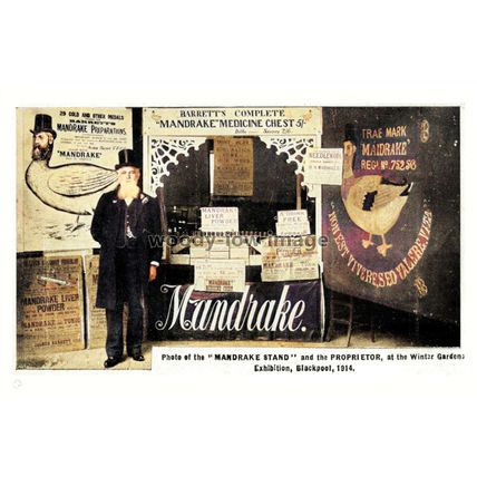 ptc4509 - Lancs. - Mandrakes Medicine Stand, Blackpool Wintergardens, print 6x4