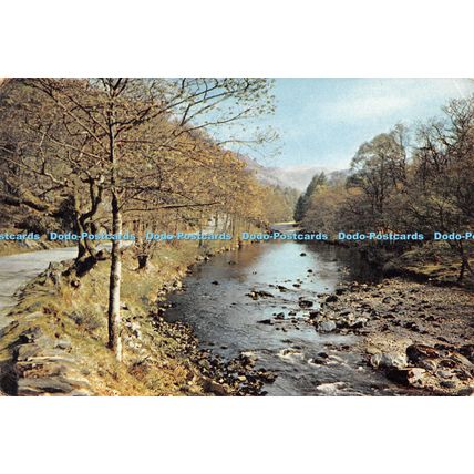 D102514 River Derwent. Borrowdale. Cumberland. Dixon