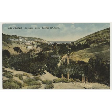 GRAN CANARIA Las Palmas Barranco Seco. Camino del monte. early 20th C. RPPC 41