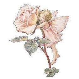 Vintage Rose Fairy Silver Charm from 1923 Cicely Mary Barker Flower Fairies