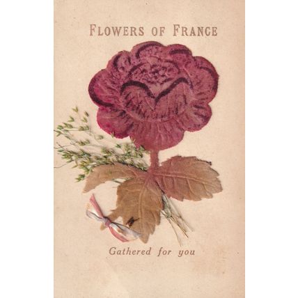 Flowers Of France Felt Petals Antique Real Flower Old Postcard