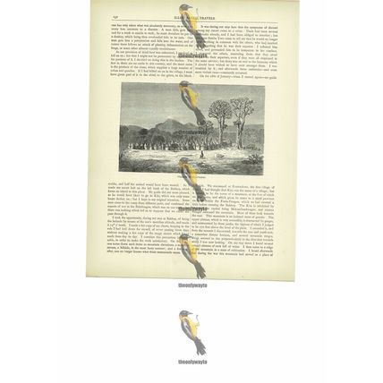 Niantanso Village, Mali, Book Illustration (Print), c1880