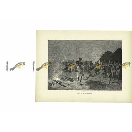 Dance Of The Malinke Tribe, Book Illustration (Print), c1880