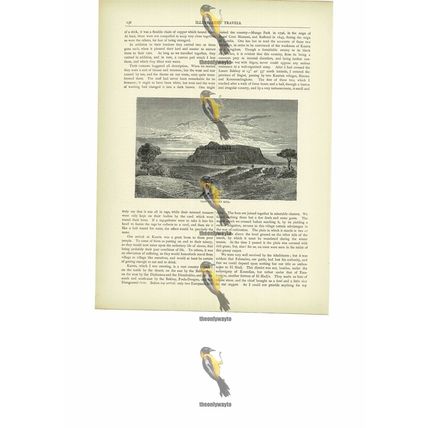 Mount Kita, North Senegambia, Mali, Book Illustration (Print), c1880