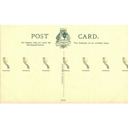 St Botolph's SE, Boston, Lincs, Dainty, EWT Dennis, Postcard