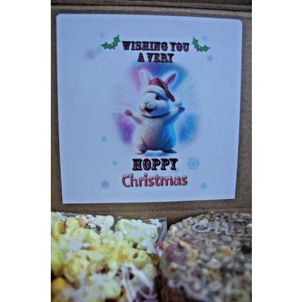 HOPPY CHRISTMAS RABBIT GIFT BOX FILLED WITH CAKE POPCORN AND BISCUITS