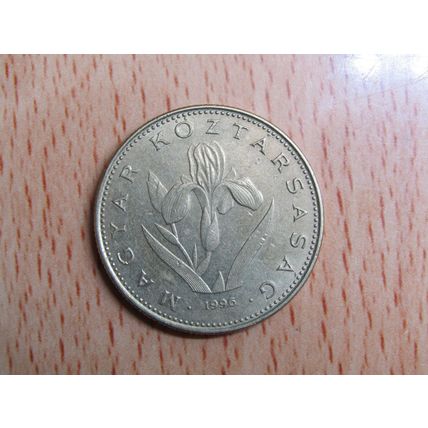 Hungary 1996 20 Forint Coin