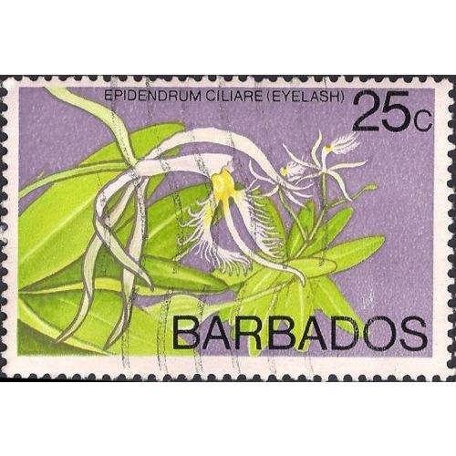 BARBADOS, FLOWER, Epidendrum ciliare, violet 1977, 25c