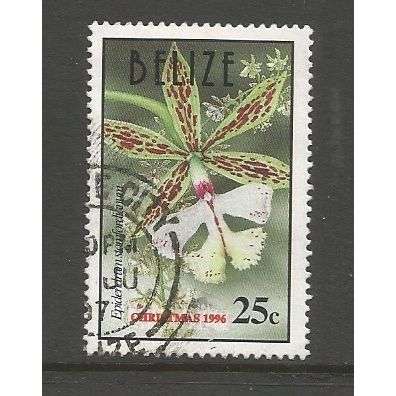 Belize 1996 Christmas 25c Orchid, used. SG1206