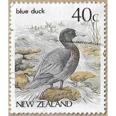 1987 - Blue Duck - 16532