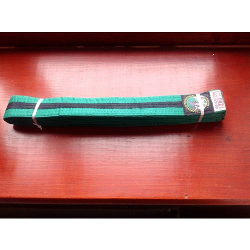 Force Tae Kwon Do / Judo / Martial Arts Belt Various Colours Brand New