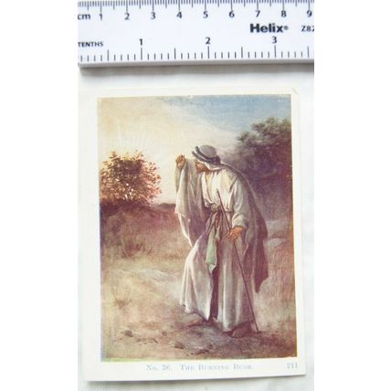 Vintage: Scholar's Lesson Pictures No. 36 The Burning Bush