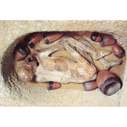 A Reconstructed Burial Gebelein Egypt Museum Postcard