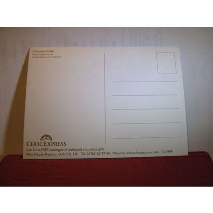 CHOCOLATE SAFARI unused postcard by ChocExpress dated 1999 =
