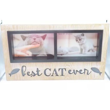 Best Cat Ever Photo Frame 19.5 CM Feline Gift Home Decor Light Up Picture