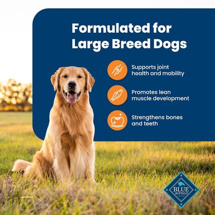 Blue Buffalo Life Protection Formula Large Breed Adult Dry Dog Food, Promotes Jo