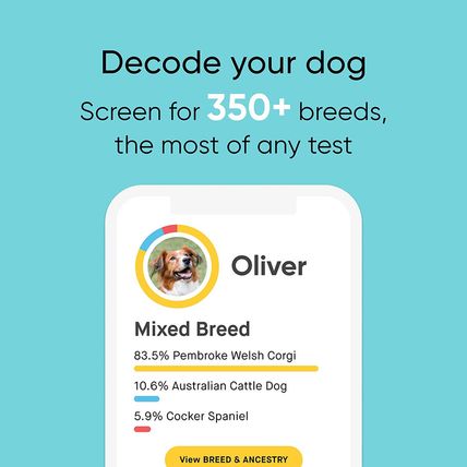 Embark Breed & Health Kit - Dog DNA Test - Discover Breed, Ancestry, Relative Fi