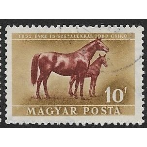 1951 Michel 1150 - fine used (o) - ANIMAL