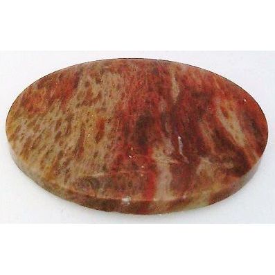 Petrified Wood Freeform Gemstone Cabochon 43