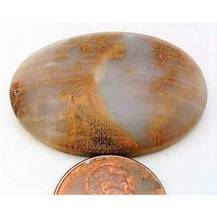 Petrified Wood Freeform Gemstone Cabochon 15