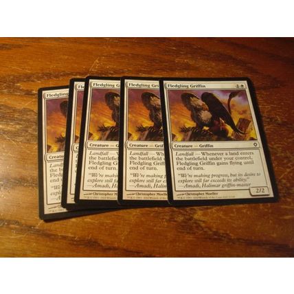 Magic The Gathering, MTG, 5-Cards, 1993-2010, FLEDGLING GRIFFIN, ex/nm