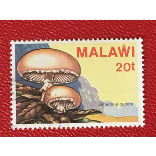 Malawi QEII 1985 Fungi 20t Limacella Guttata Used SG 721 Sc 459 postage stamp