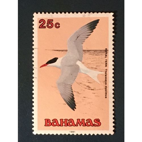 Bahamas QEII 1991 Birds 25c Royal Tern Used SG 896 Sc 713 postage stamp