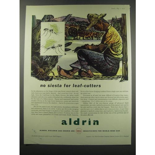 1957 Shell Aldrin Pesticide Ad - no siesta for leaf-cutters
