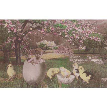 Baby Born Child Hatches From Egg Yellow Bird Antique French Greetings Postcard